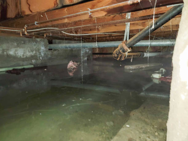 Best Residential water damage restoration  in Estacada, OR