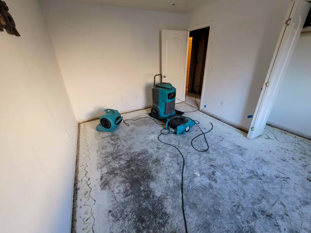 Best 24-hour water damage restoration  in Estacada, OR
