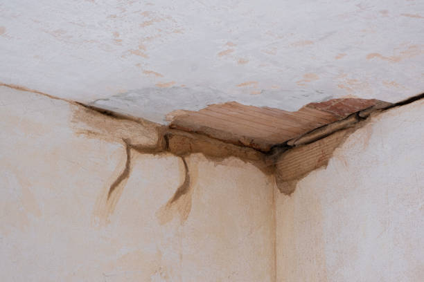 Best Water damage mitigation services  in Estacada, OR
