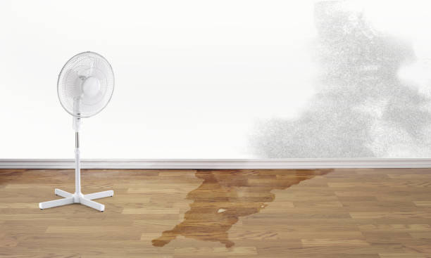 Trusted Estacada, OR Water damage restoration Experts