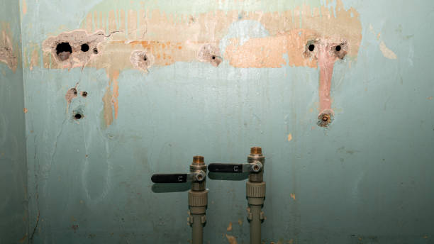 Best Water damage restoration experts  in Estacada, OR