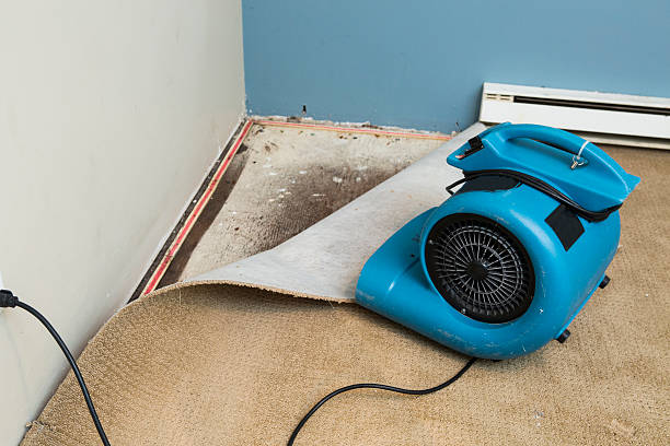 Reliable Estacada, OR Water damage restoration Solutions
